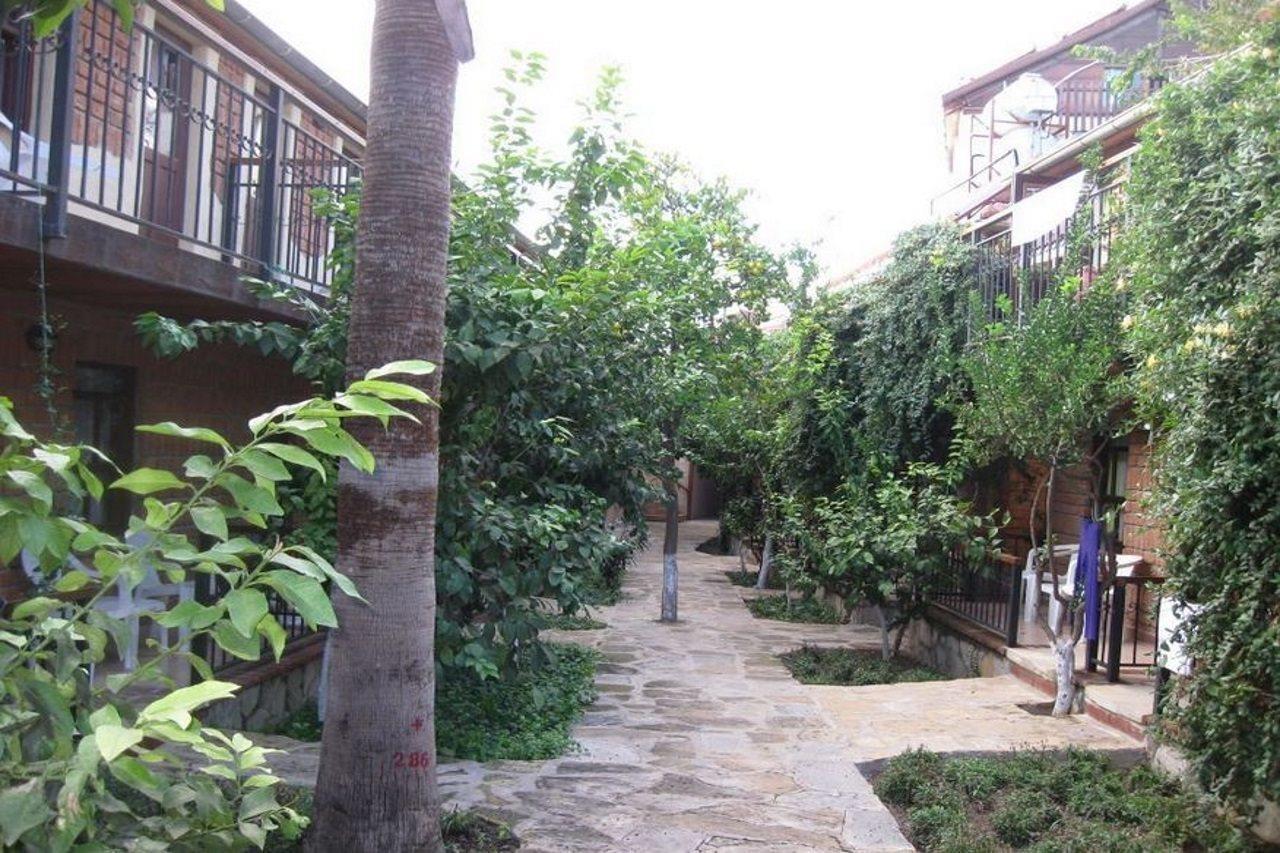 Leda Beach Hotel Sidé Extérieur photo